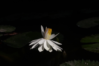 凯发·k8(中国游)官方网站